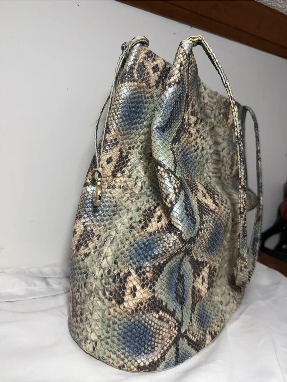 Brahmin this molly